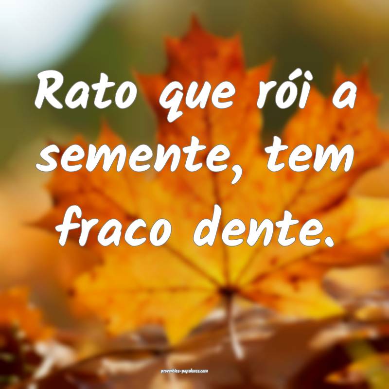 Rato que rói a semente, tem fraco dente.
 ...
