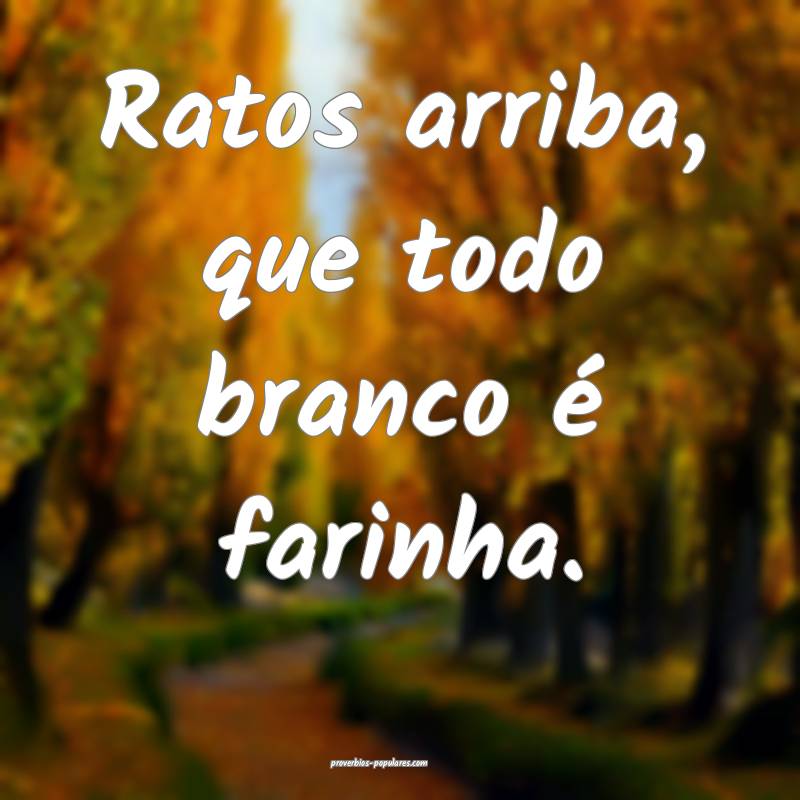 Ratos arriba, que todo branco é farinha.
...