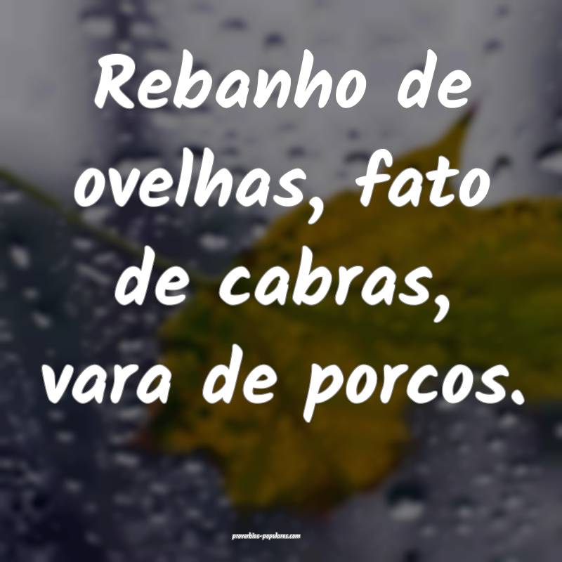 Rebanho de ovelhas, fato de cabras, vara de porcos.
...