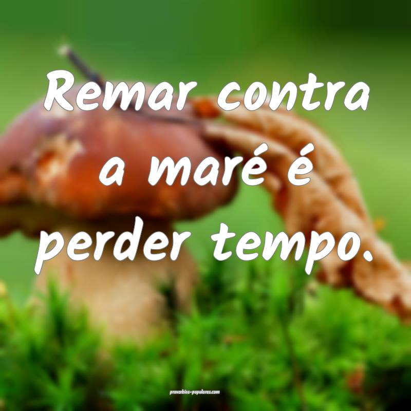 Remar contra a maré é perder tempo.
...