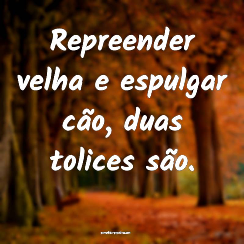 Repreender velha e espulgar cão, duas tolices sã ...