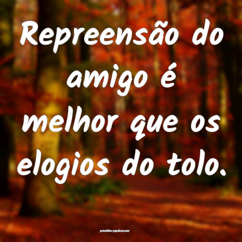Repreensão do amigo é melhor que os elogios do tolo.
...