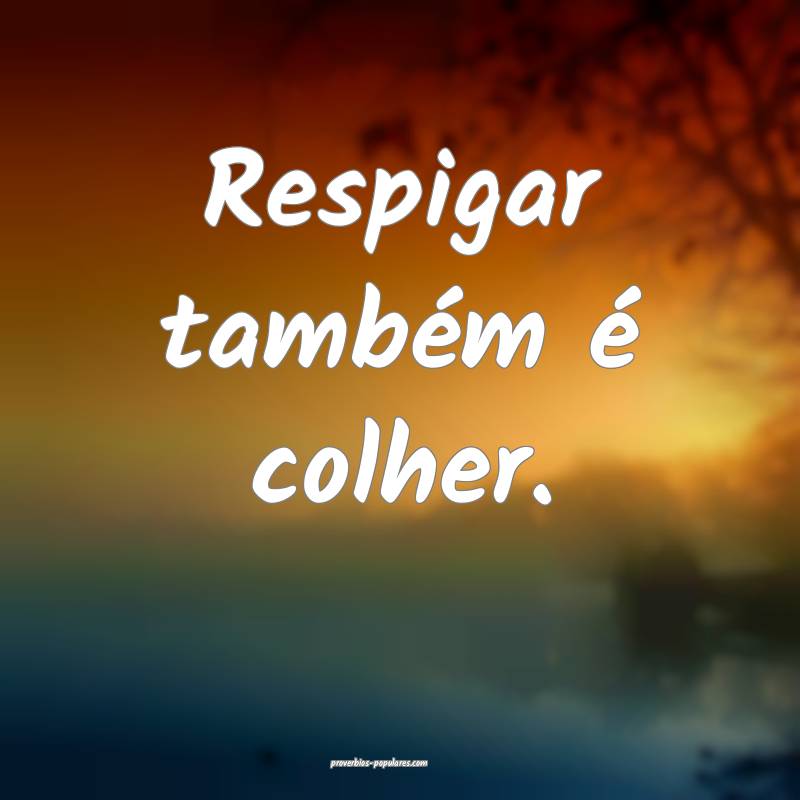 Respigar também é colher.
 ...