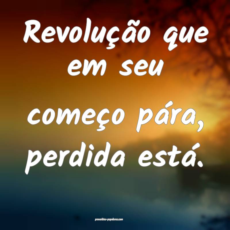 Revolução que em seu começo pára, perdida está.
...