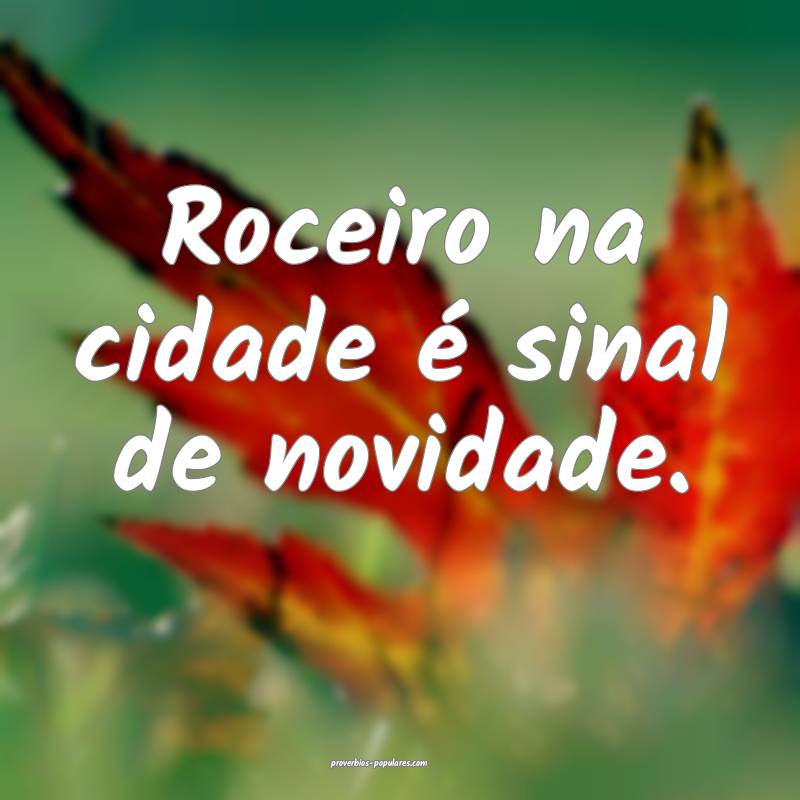 Roceiro na cidade é sinal de novidade.
...