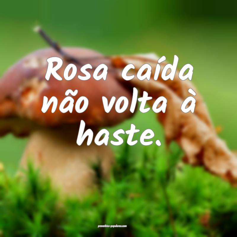 Rosa caída não volta à haste.
 ...