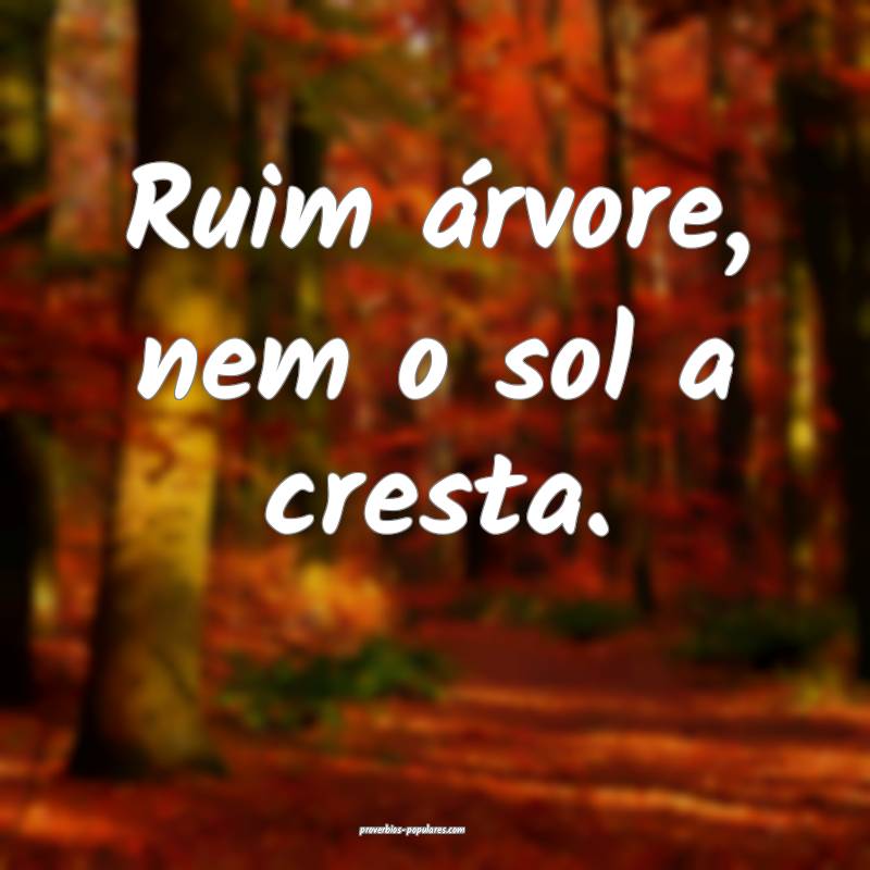 Ruim árvore, nem o sol a cresta.
 ...