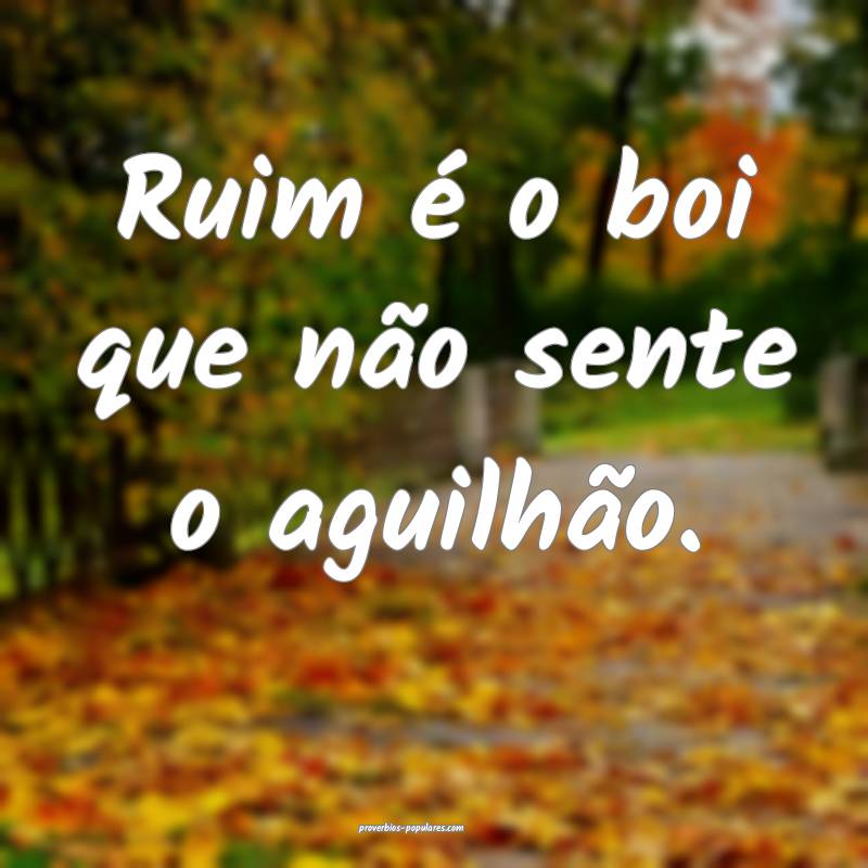 Ruim é o boi que não sente o aguilhão.
...