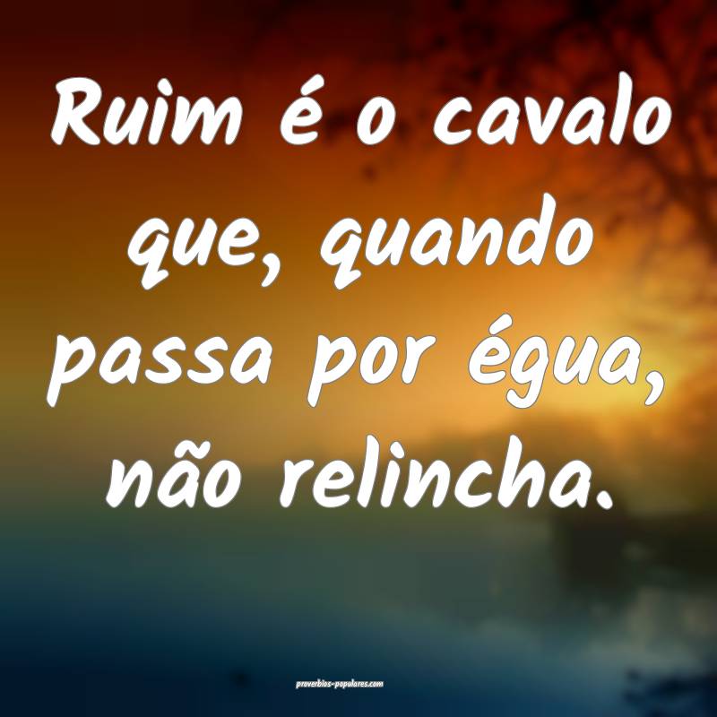 Ruim é o cavalo que, quando passa por égua, não ...