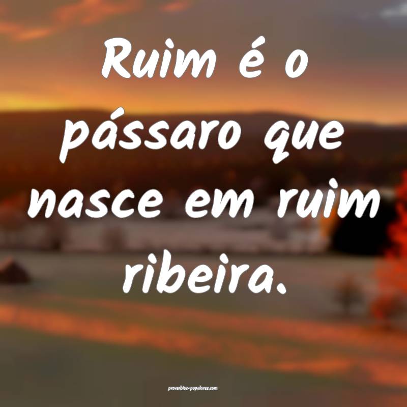 Ruim é o pássaro que nasce em ruim ribeira.
...
