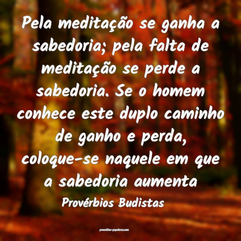 Pela meditação se ganha a sabedoria; pela falta de meditação se pe...