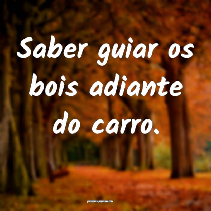 Saber guiar os bois adiante do carro.
...