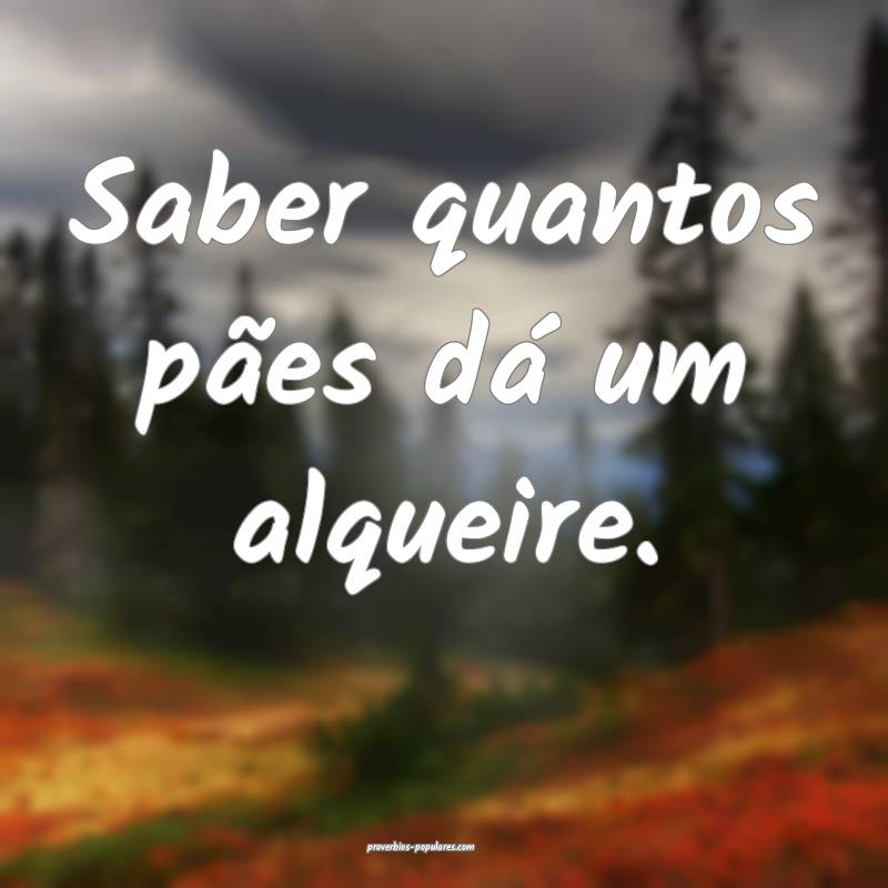 Saber quantos pães dá um alqueire.
 ...