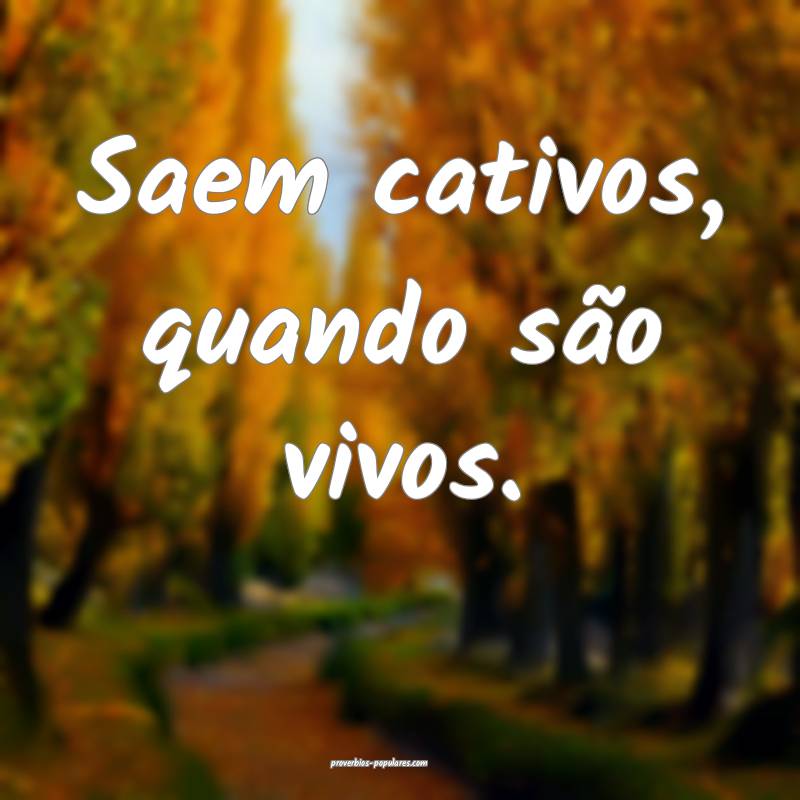 Saem cativos, quando são vivos.
 ...