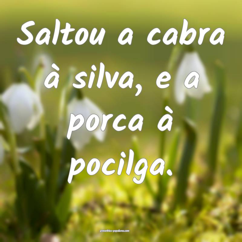 Saltou a cabra à silva, e a porca à pocilga.
...