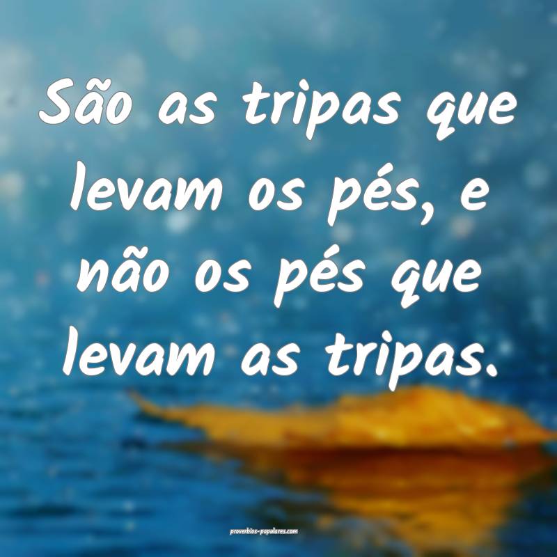 São as tripas que levam os pés, e não os pés que levam as tripas.
...