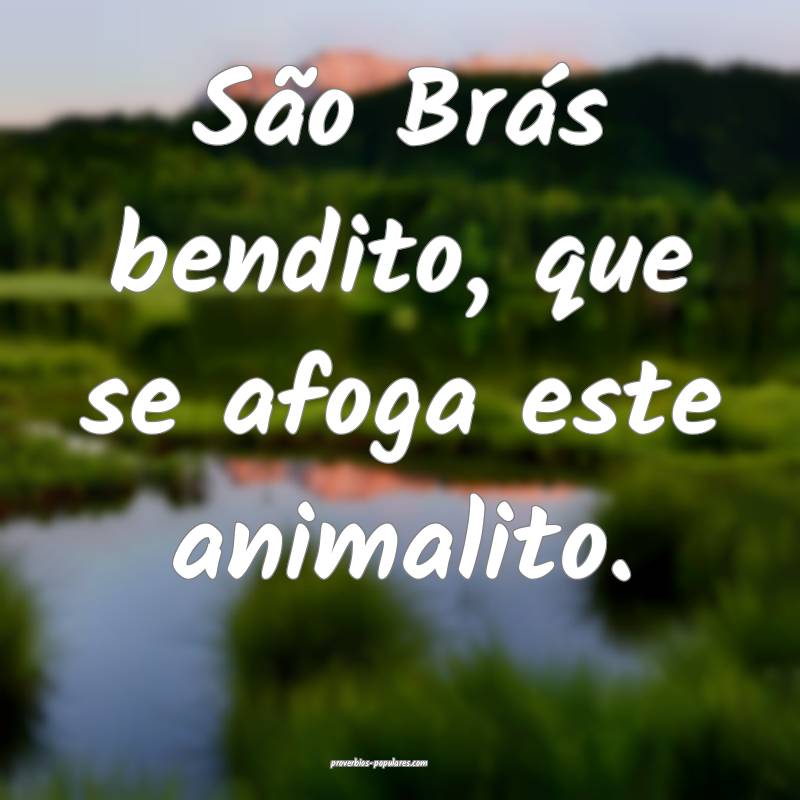 São Brás bendito, que se afoga este animalito.
...