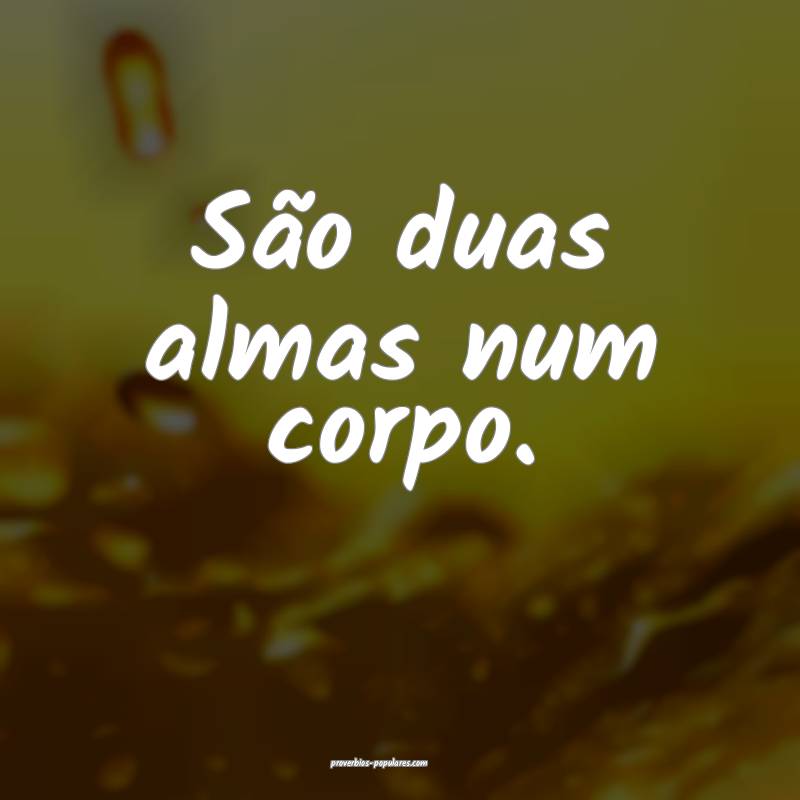 São duas almas num corpo.
 ...