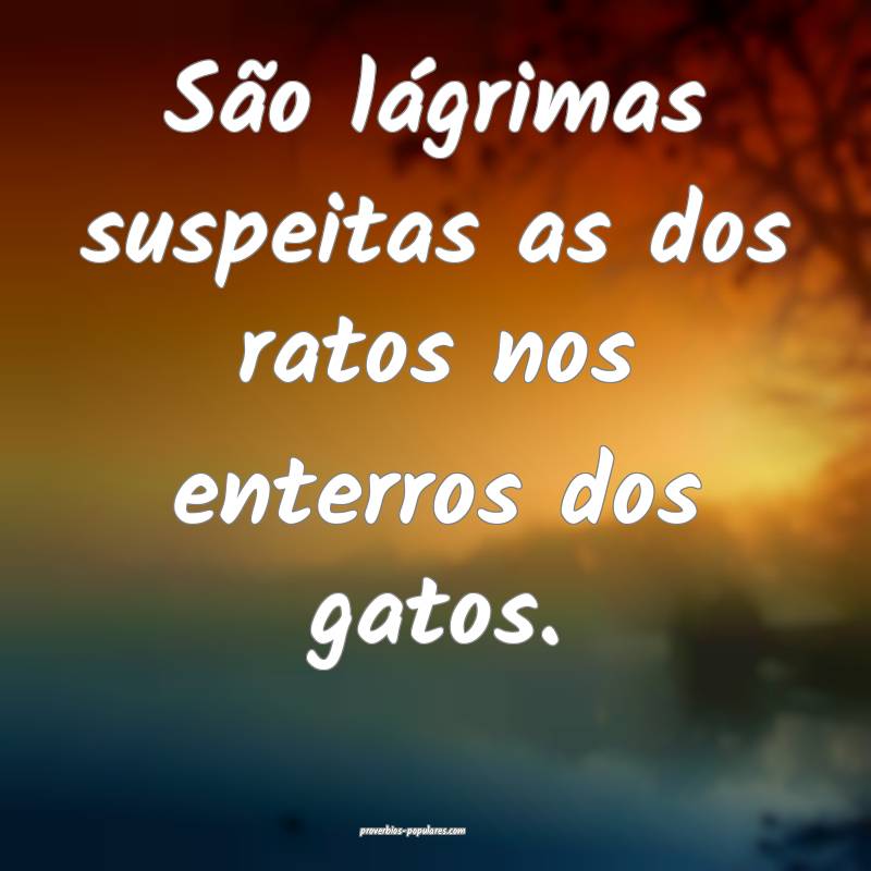 São lágrimas suspeitas as dos ratos nos enterros ...