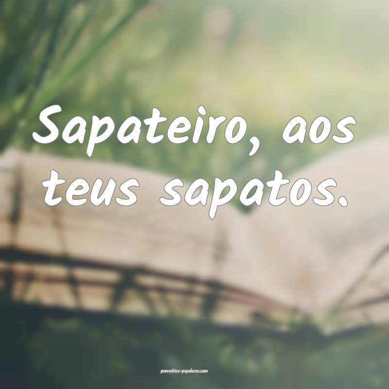 Sapateiro, aos teus sapatos.
...