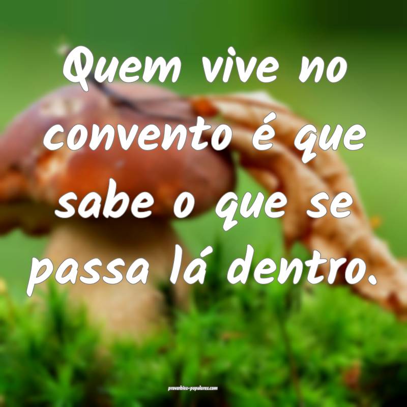 Quem vive no convento é que sabe o que se passa lá dentro.
...