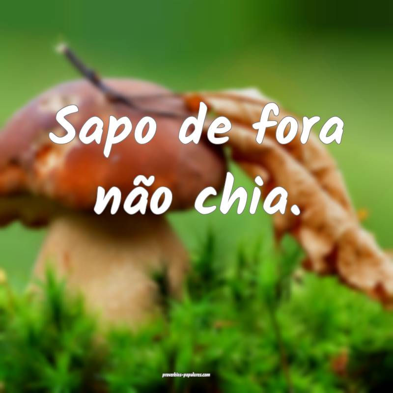 Sapo de fora não chia.
 ...