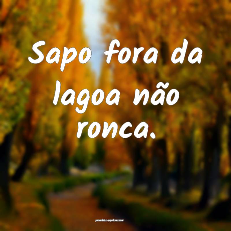 Sapo fora da lagoa não ronca.
...