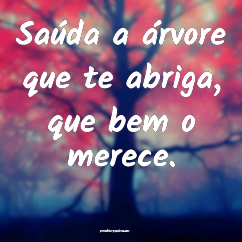 Saúda a árvore que te abriga, que bem o merece.
...