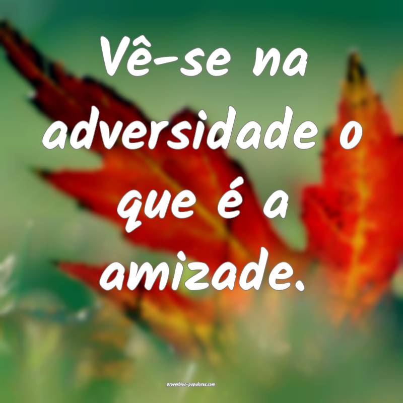Vê-se na adversidade o que é a amizade.
...