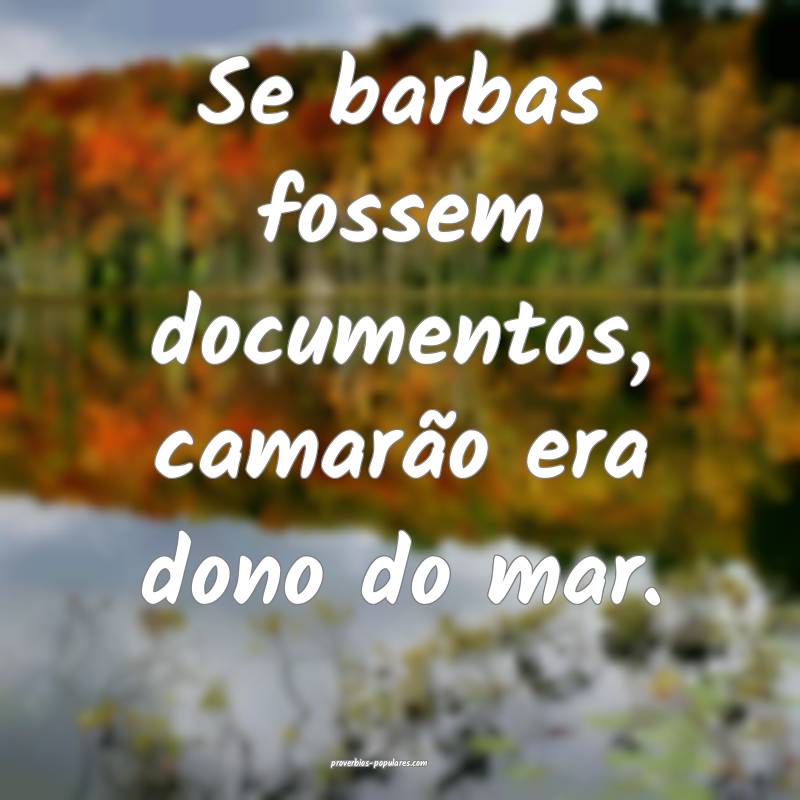 Se barbas fossem documentos, camarão era dono do mar.
...