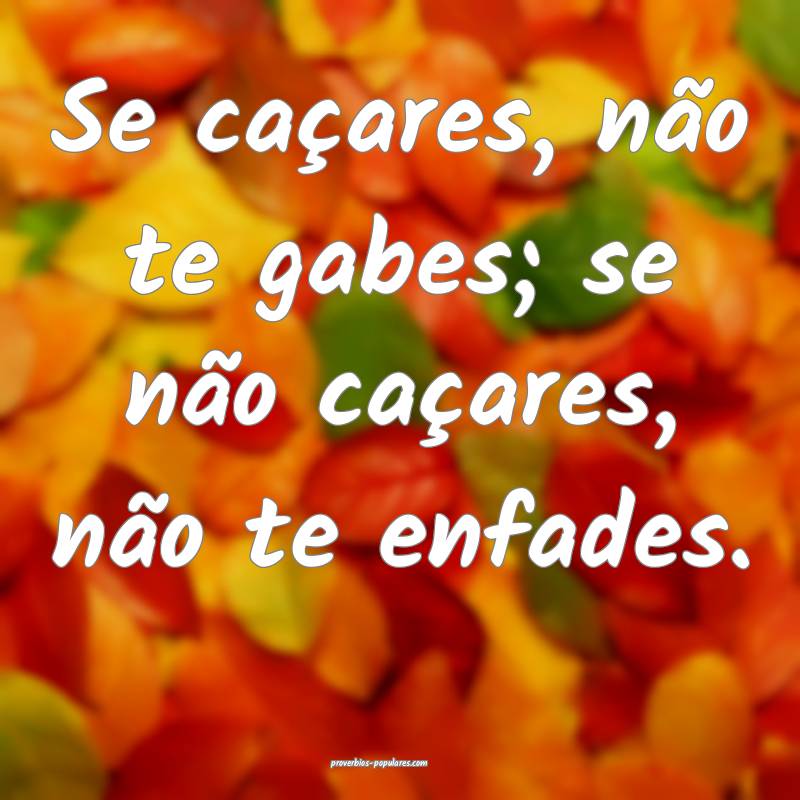 Se caçares, não te gabes; se não caçares, não ...