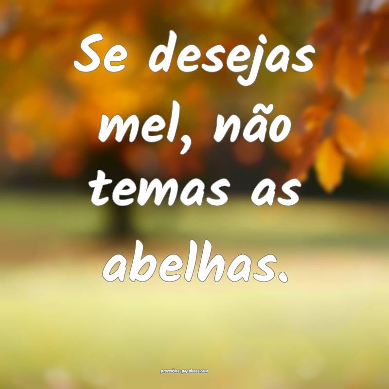 Se desejas mel, não temas as abelhas.
 ...