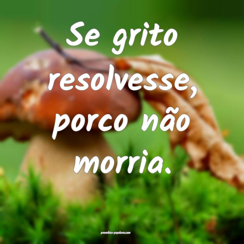 Se grito resolvesse, porco não morria.
 ...