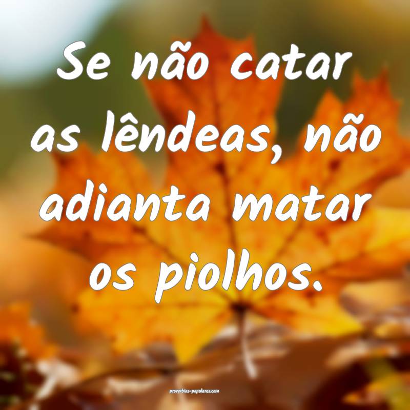 Se não catar as lêndeas, não adianta matar os piolhos.
...