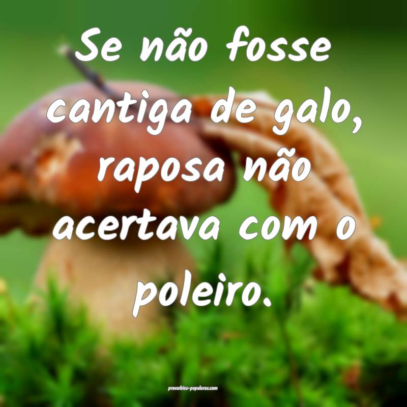 Se não fosse cantiga de galo, raposa não acertava com o poleiro.
...