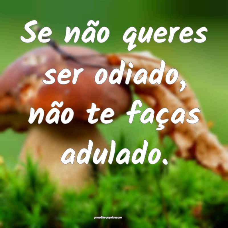 Se não queres ser odiado, não te faças adulado.
...