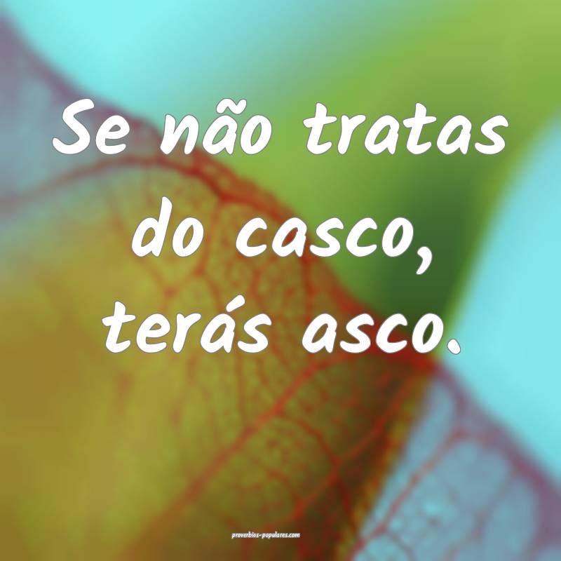 Se não tratas do casco, terás asco.
...