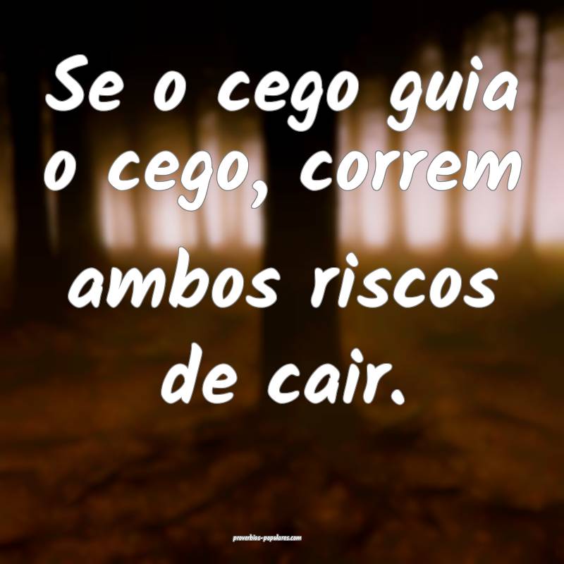 Se o cego guia o cego, correm ambos riscos de cair.
...