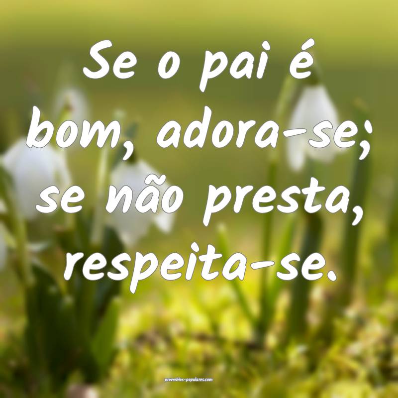 Se o pai é bom, adora-se; se não presta, respeita-se.
...
