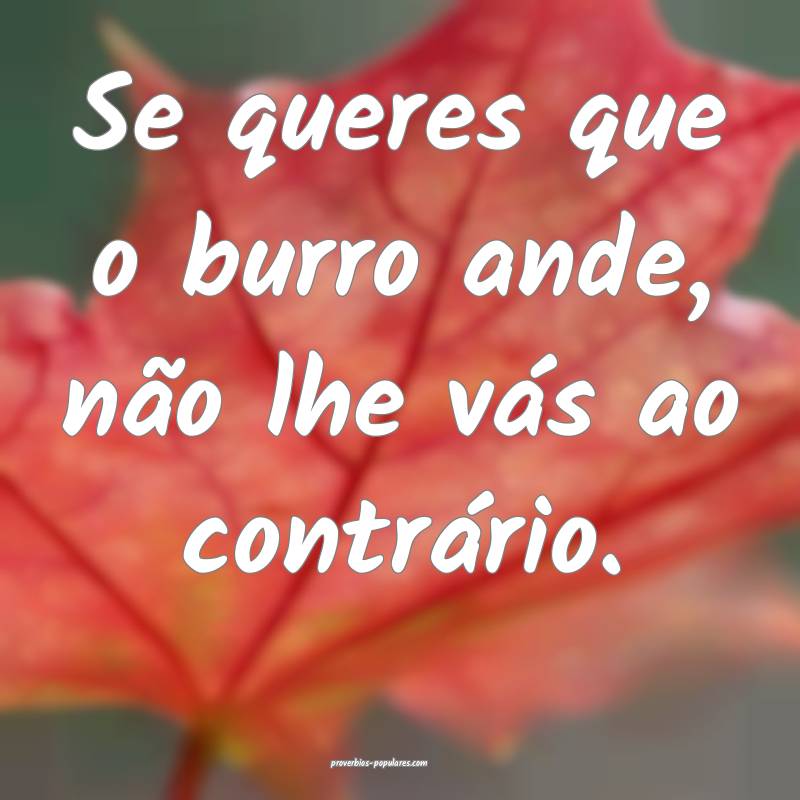 Se queres que o burro ande, não lhe vás ao contrário.
...
