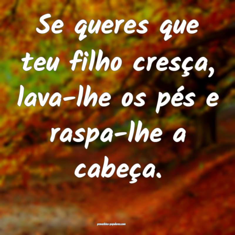 Se queres que teu filho cresça, lava-lhe os pés e raspa-lhe a cabeç...
