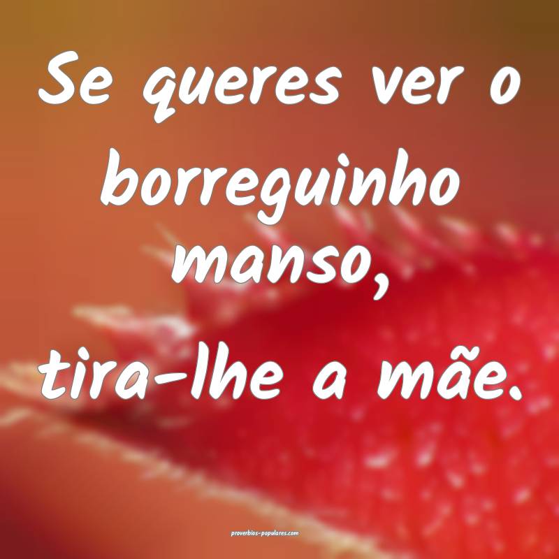 Se queres ver o borreguinho manso, tira-lhe a mãe ...