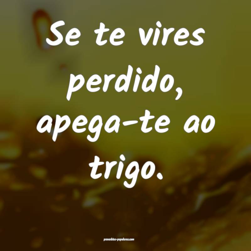 Se te vires perdido, apega-te ao trigo.
...
