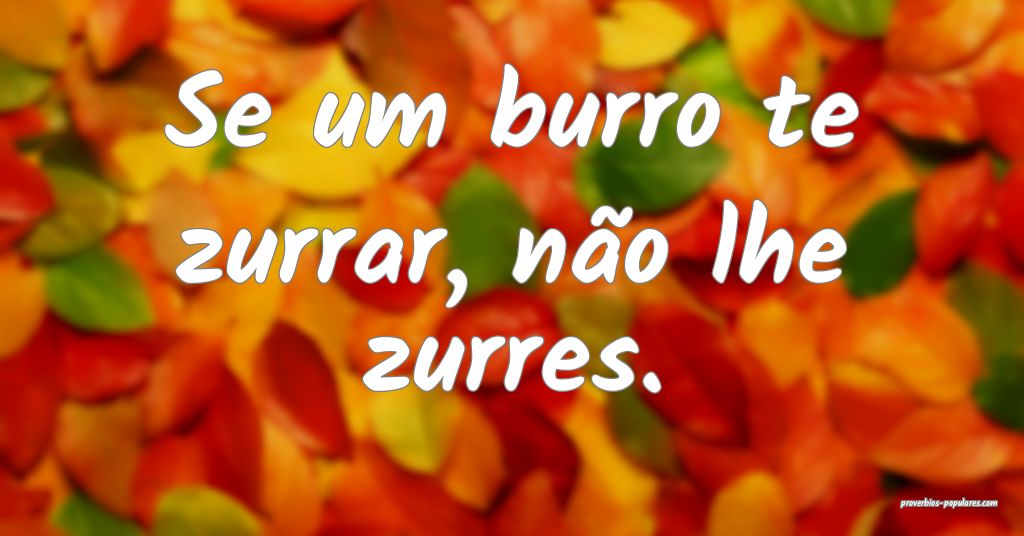 Se um burro te zurrar, não lhe zurres.
 ...