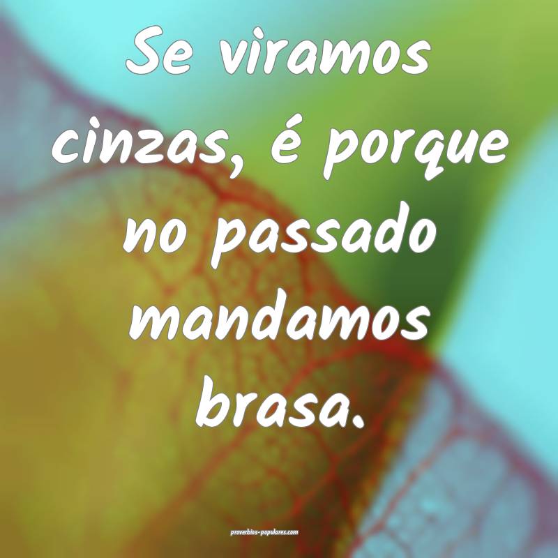 Se viramos cinzas, é porque no passado mandamos brasa.
...