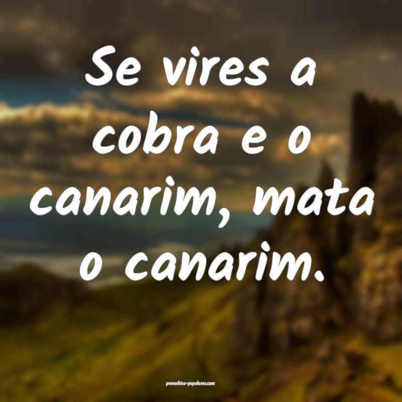 Se vires a cobra e o canarim, mata o canarim.
 ...