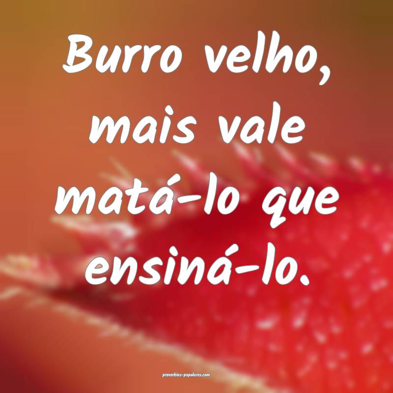 Burro velho, mais vale matá-lo que ensiná-lo.
...