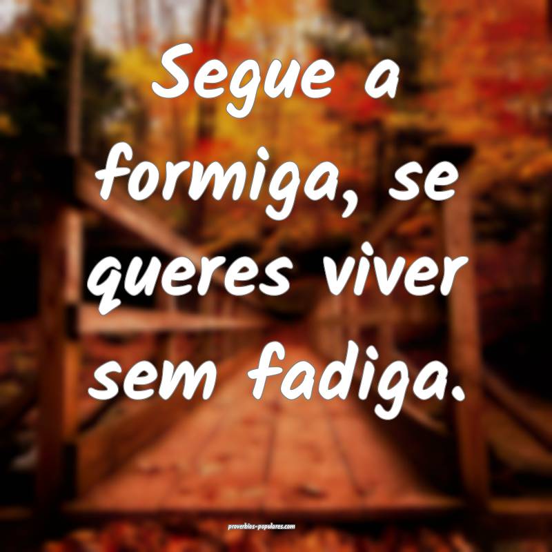 Segue a formiga, se queres viver sem fadiga.
...