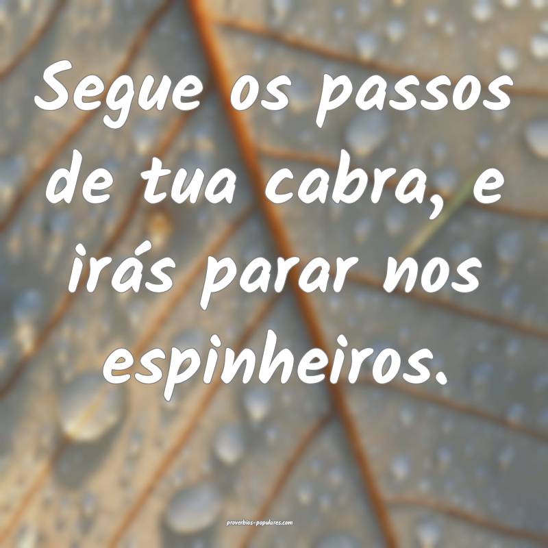 Segue os passos de tua cabra, e irás parar nos es ...