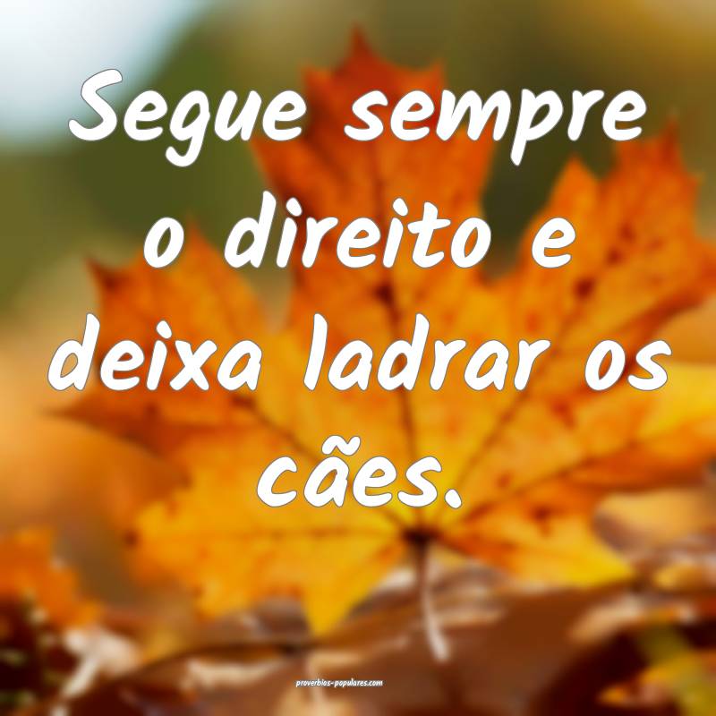 Segue sempre o direito e deixa ladrar os cães.
...
